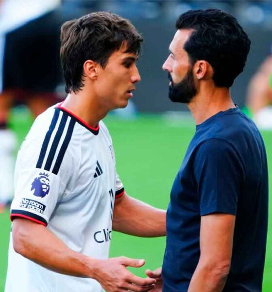 Arbeloa-y-Gonzalo,-durante-un-partido-del-Fulham