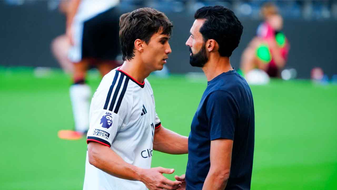 Arbeloa-y-Gonzalo,-durante-un-partido-del-Fulham